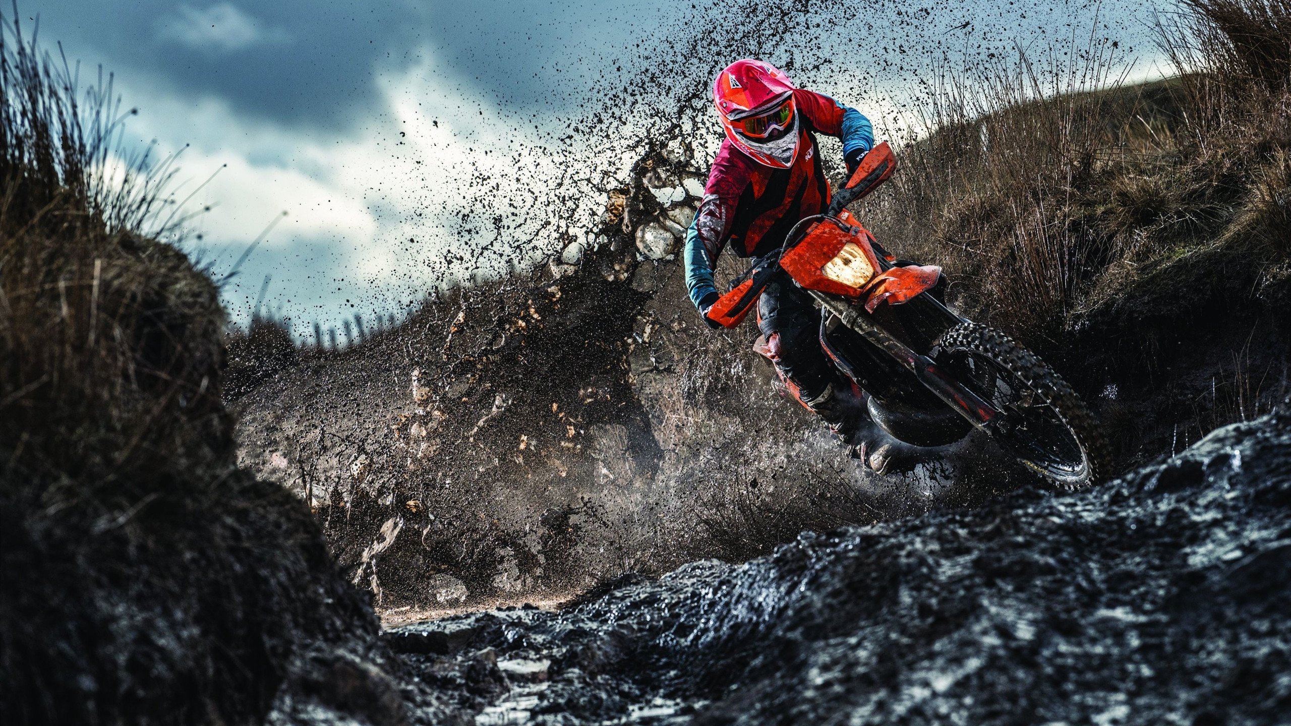 女篮姑娘的拼搏精神感染全国，女篮精神心得感悟